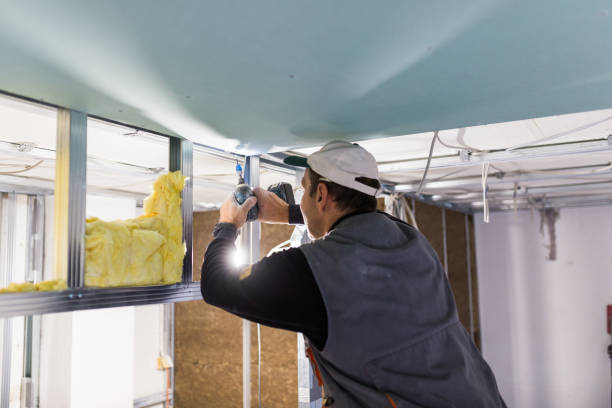 Best Insulation Inspection Services  in Saugerties South, NY