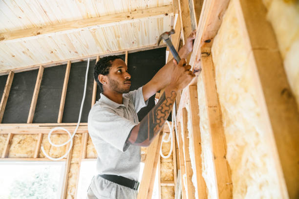 Best Wall Insulation Contractor  in Saugerties South, NY
