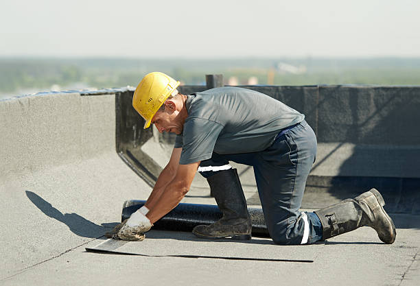 Best Professional Insulation Contractor  in Saugerties South, NY