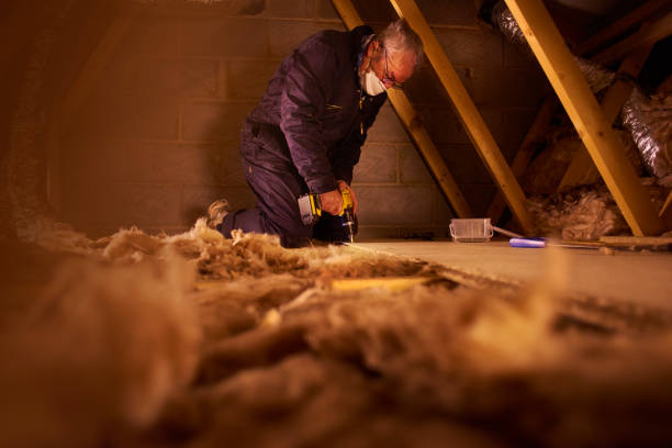 Best Residential Insulation Services  in Saugerties South, NY
